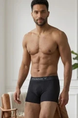 Erkek Rahat Esnek Seamless 2 Li Boxer Ten